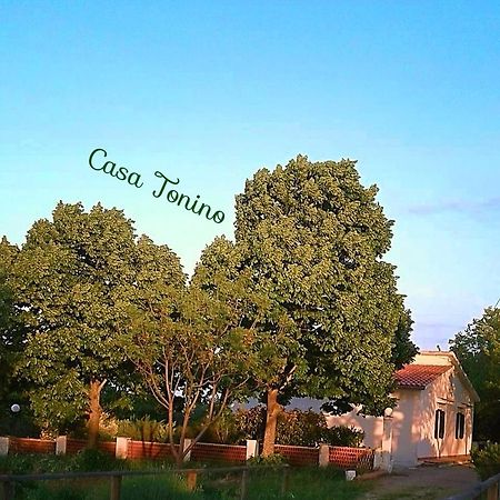 Casa Tonino Villa ปิสติชชี ภายนอก รูปภาพ