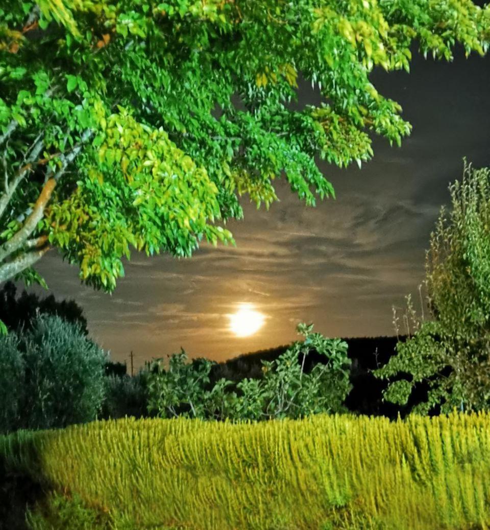 Casa Tonino Villa ปิสติชชี ภายนอก รูปภาพ